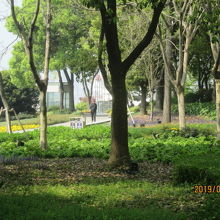 緑の多い北外灘濱江緑地。
