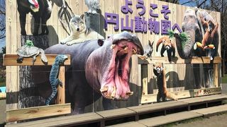 ミャンマーから象！