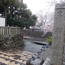 碑は古さを感じます。