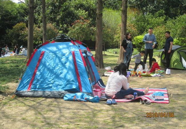新虹橋中心公園