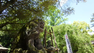 東京五社の１つ。さまざまな狛犬が！