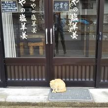 ずっと猫がまもっているようです