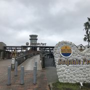 桜島見ながら足湯ができました