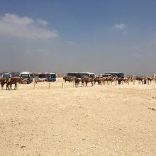 団体用のバスがずらっと並んでいるが敷地が広いのでゆっくりと