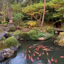 素敵な庭園です。