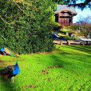 イギリスにある日本庭園！