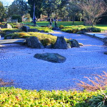 見事な枯山水！