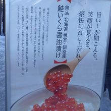 絶品いくら醬油漬け