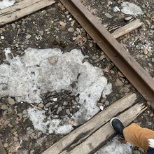 夏はもっと映えるでしょうね