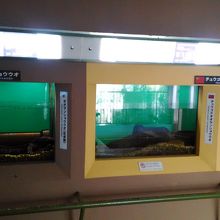 狭くて少し可哀想？