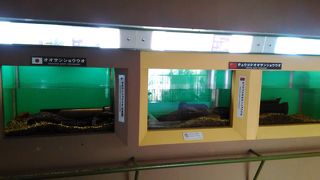 滝の入場料に含まれています。