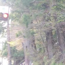 神橋方面からの写真