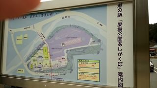 秩父に向かう途中の道の駅