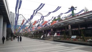 鯉のぼりがきれい！