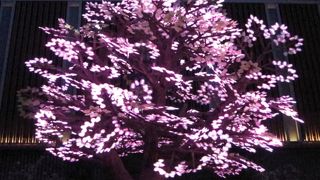 『The Tree of Light -灯桜(ともしざくら)-』と『サクラカーペット』