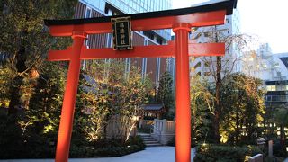 ライトアップされていました