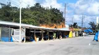 沖縄のというよりも…