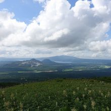 摩周湖と反対側の眺望