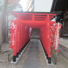 奉納された赤鳥居群が本殿脇に続いていました