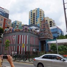 こんな街中にひょっこりと。