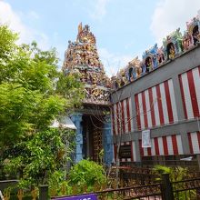 この角度なら落ち着いて見られるかしら。