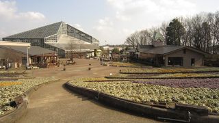 とちぎ花センター