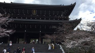 山門の石段と桜&#127800;は綺麗