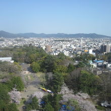 展望ロビーから眺める豊橋公園方面の様子