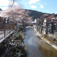 洞泉寺から南側の景観です。