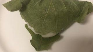 正統派和菓子の味