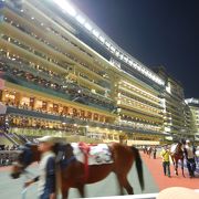 ナイター競馬は気分最高です