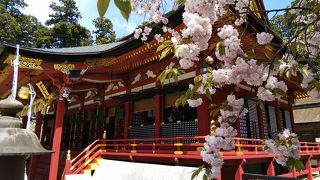 長井勝一漫画美術館 クチコミ アクセス 営業時間 多賀城 塩釜 利府 フォートラベル 長井勝一漫画美術館 クチコミ アクセス 営業時間 多賀城 塩釜 利府 フォートラベル