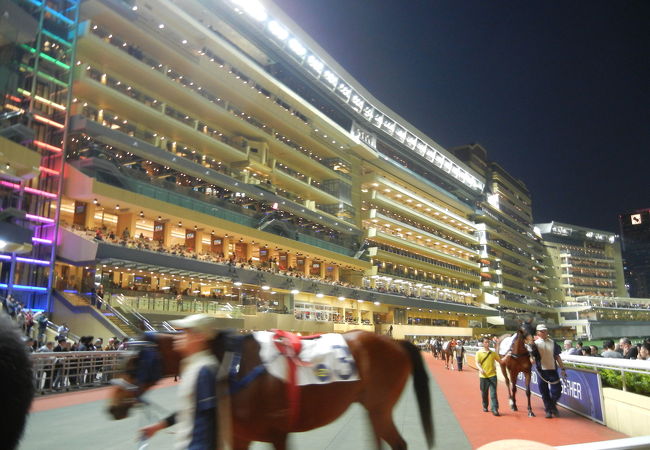 ナイター競馬は気分最高です