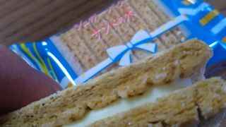 シャガーバターの木