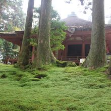 苔の絨毯の中に建つ常行堂