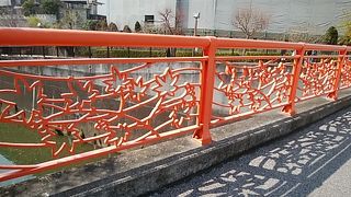 りっばな桜並木