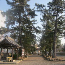 本殿側から見た表参道の様子