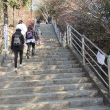 五重塔が立つ場所まで階段を上ります