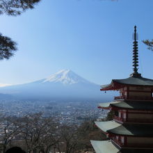 富士山のニュースポット　桜がないと寂しい
