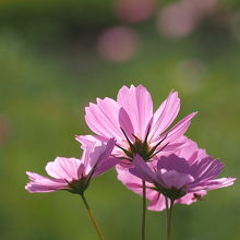 秋の気配、そして冬になる