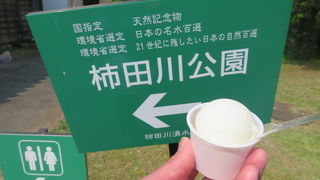 豆腐アイスがオススメです。