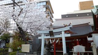 浦参道沿いです