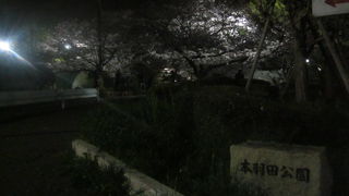 羽田界隈での夜桜見物ならここがお勧めです！