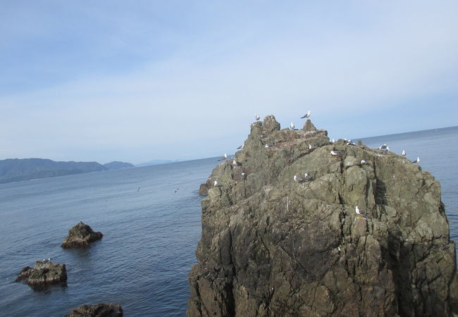 河野海水浴場