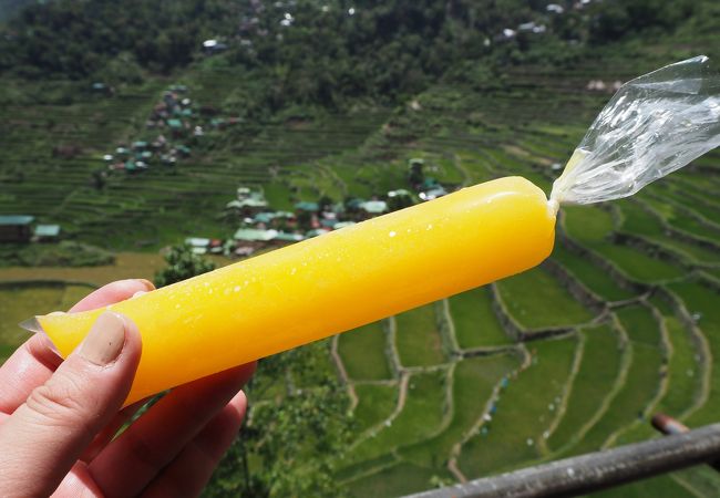 世界遺産のライステラスでトレッキング