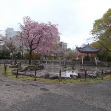 公園内の景観です。