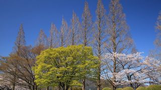 朝倉運動公園