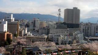 甲府駅のすぐ近くの城址公園