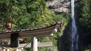 癒されました。