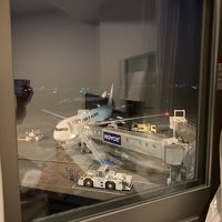 客室の窓からは飛行機ビューです。